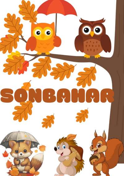 Baykuslu Sonbahar