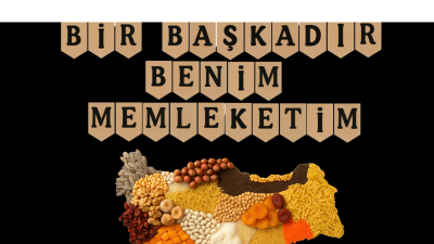 Bir Baskadir Benim Memleketim