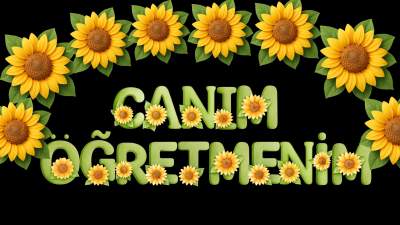 Canim Ogretmenim