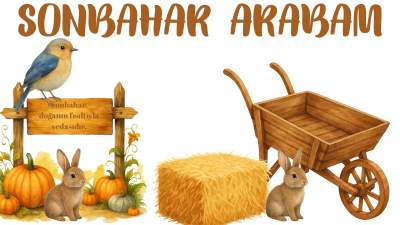 Sonbahar Arabam